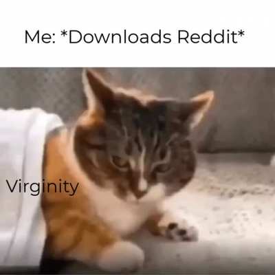 I think it was worth it tho.