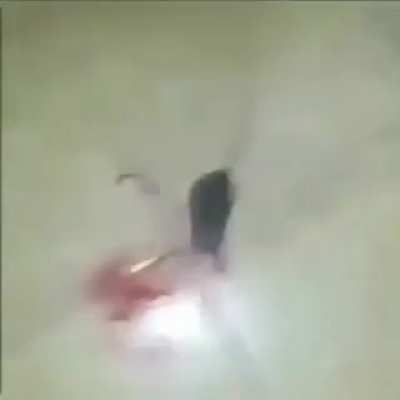 REAL FOOTAGE OF ME BEATING THE RH RATS