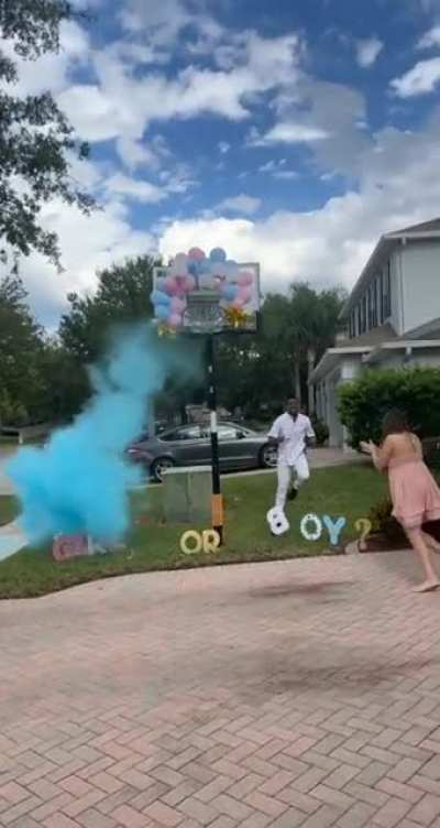 Gender Reveal Day (OC)