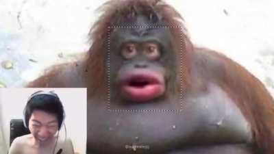 Macacu😤😤🖕🤓👌