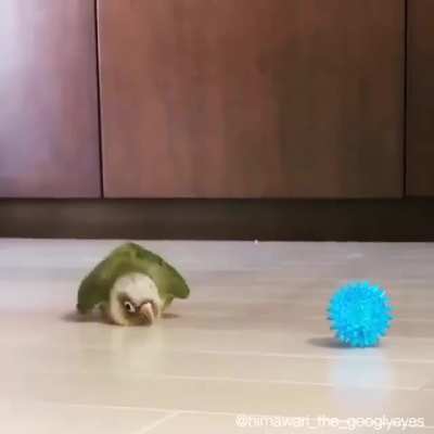 Sneaky boy