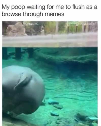 me_irl