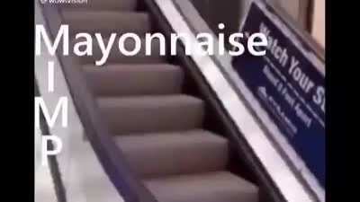 La mayo