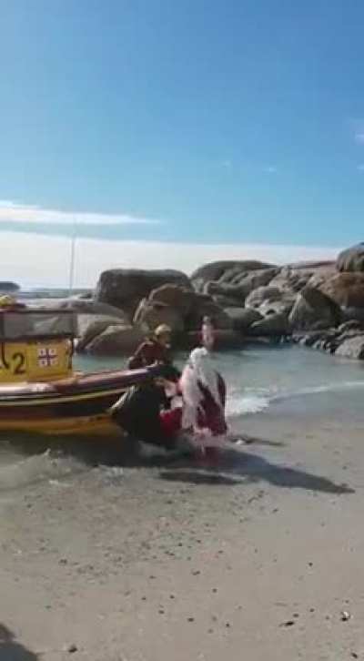 to give Christmas to the island