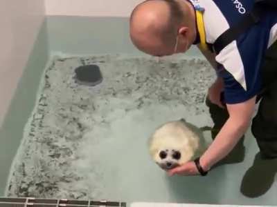 silly wet little guy