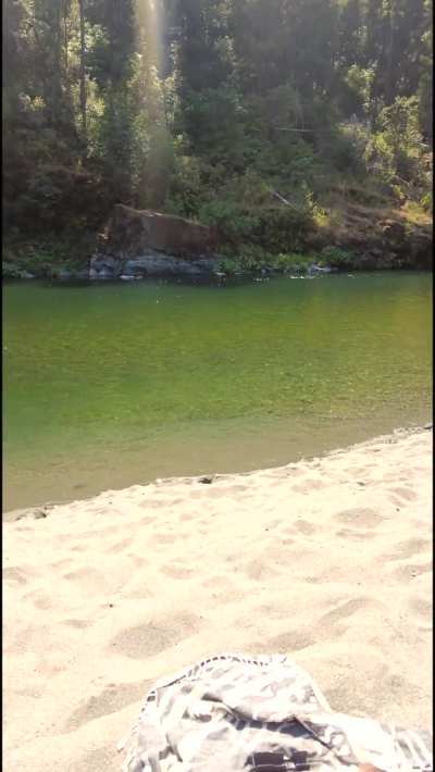 A few kayakers saw us, but they didn’t mind 💕 [GIF]
