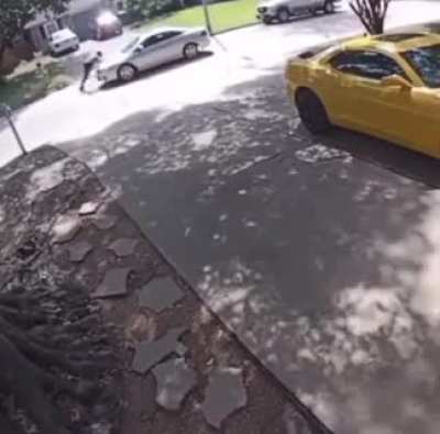HMFT after I decided to run from a dog