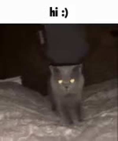 Greetings