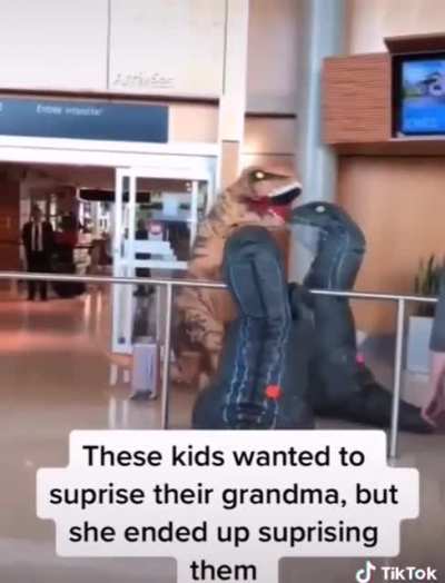 Dino arrival