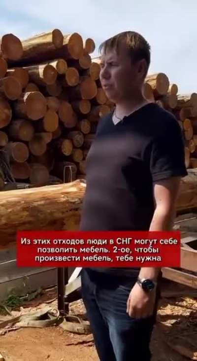 Почему лес в России вывозится на экспорт.