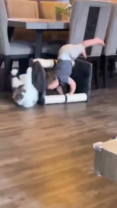 Poor Cat