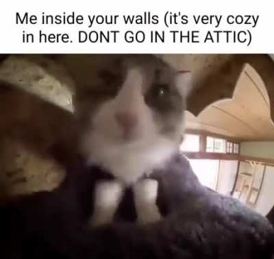 me when