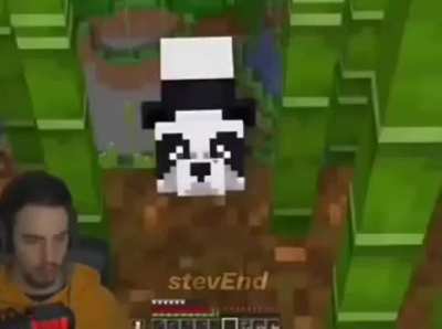 noo