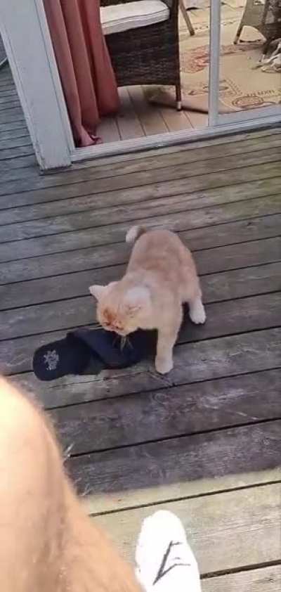 I'm tired of your shit, human