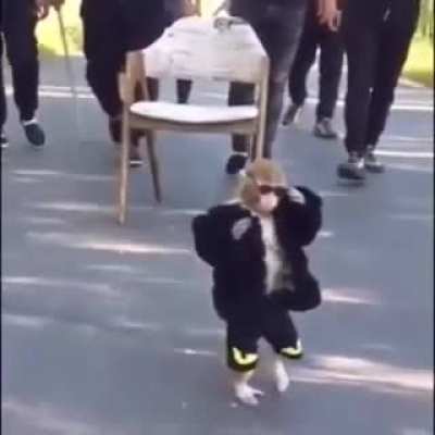 Mucalol fugindo com a grana do churras dos subs