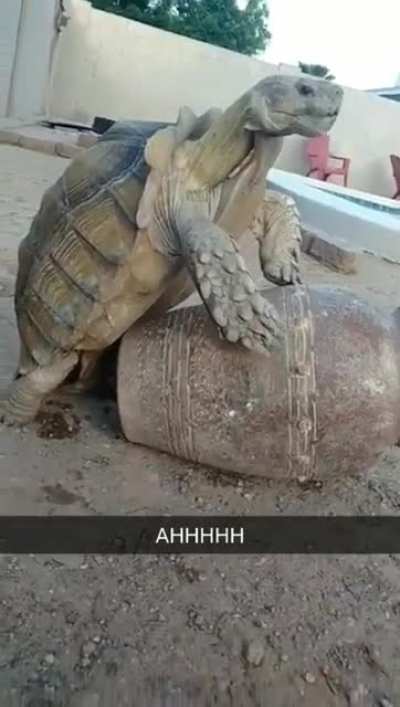 Чужой