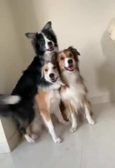 Picture perfect