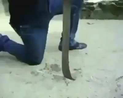Battle of the joshes