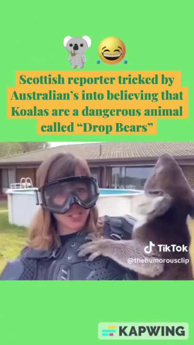 Scottish journalist has a freakout while holding a 