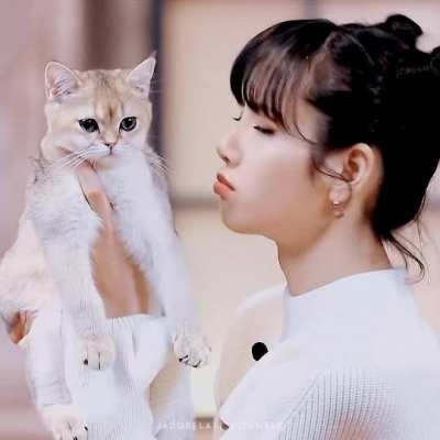 Lisa