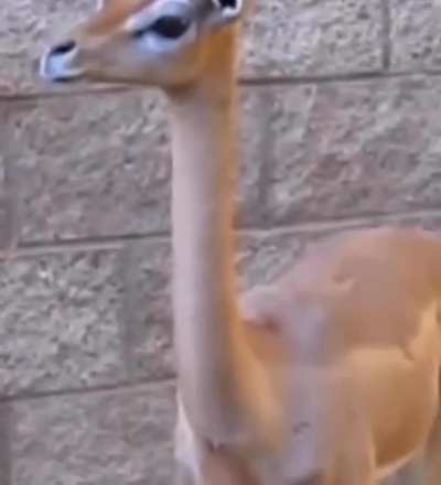 hmm