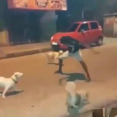 sera que &eacute; a reencarna&ccedil;&atilde;o de um ninja? obs: n sei se &eacute; repostkkj