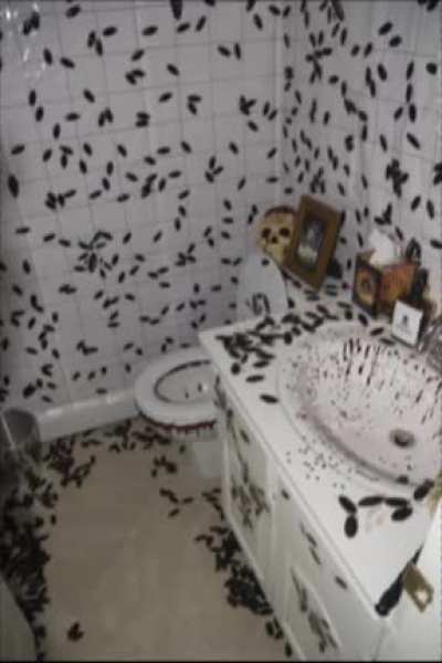 Touhou Toilets #11