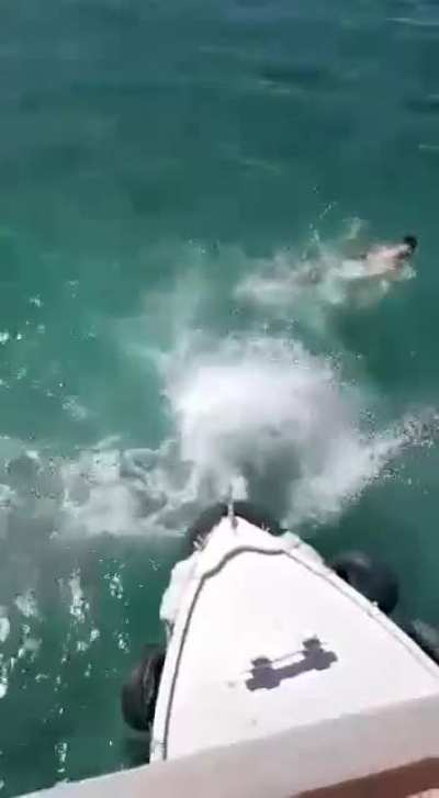 Jumping from the pier
