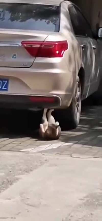 Blursed Workout