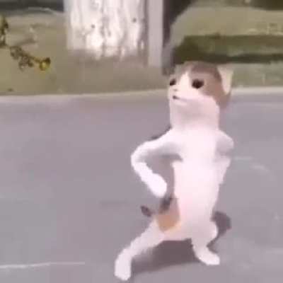 sus