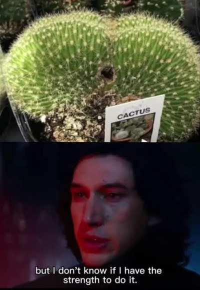 Cac-tus