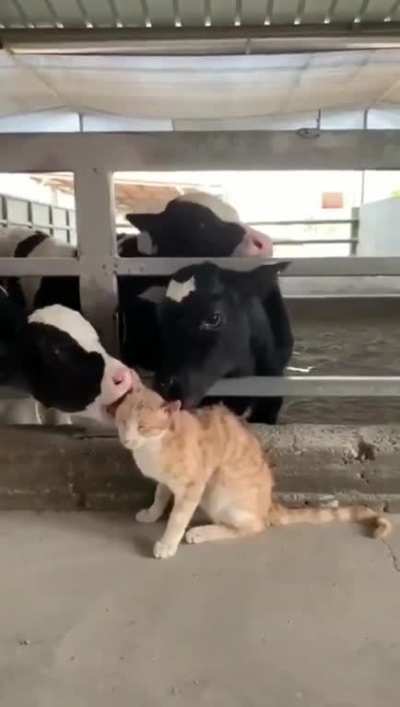 Very comfortable