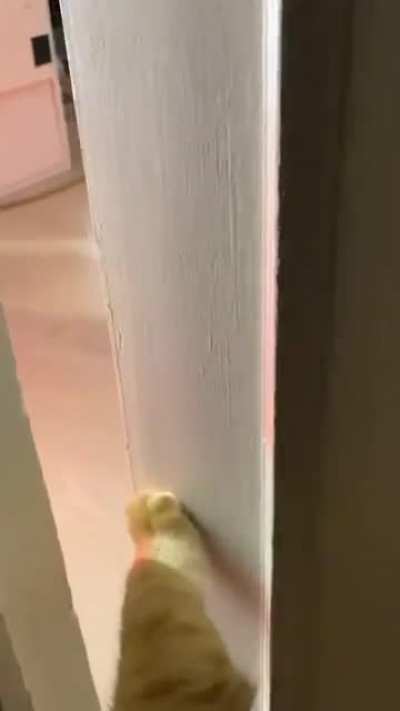 Woof_irl