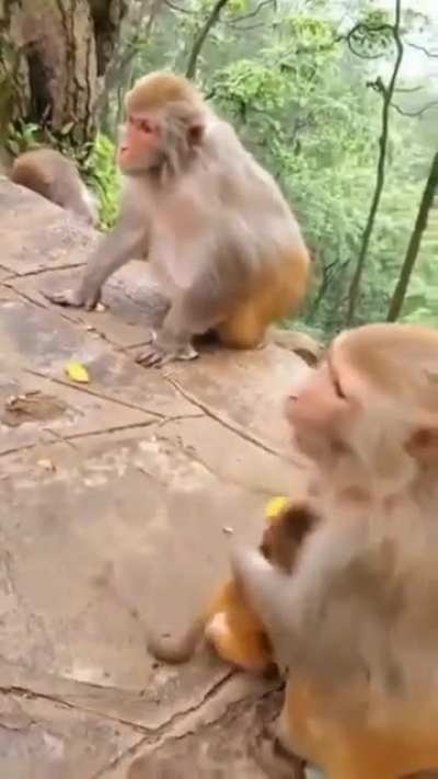 Vem cá, deixa esse porra ai