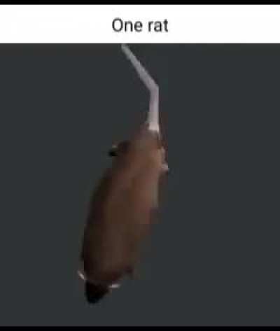 rule