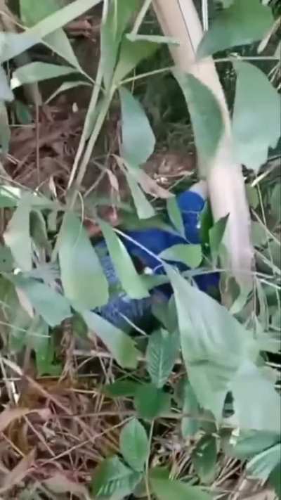Bila 2 Honda bertembung di Kampung Bukit Senggih