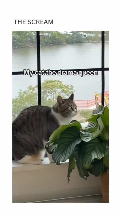 Don't eat my plants 
