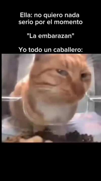 Título obligatorio