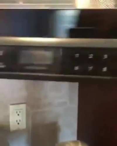Pupper refuses to eat his food unless it&rsquo;s microwaved like human food