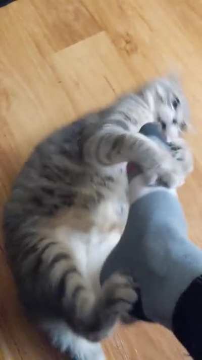 Ow