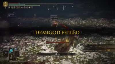 In all the times I've faced Malenia whether as a Host or as a summon, that is the first time this ever happened.