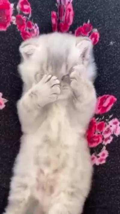 Big stretch!