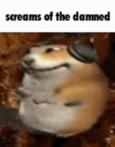 Moldy music