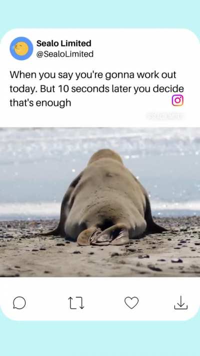 That&rsquo;s enough exercise for the day