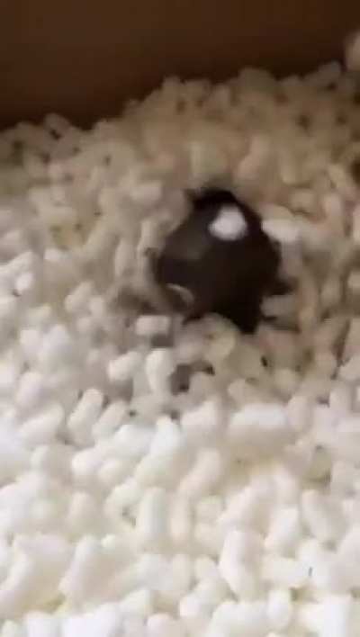 He is in heaven