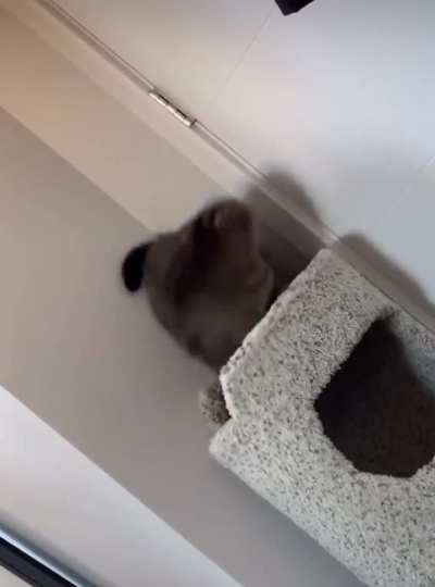 Chonky Greebles