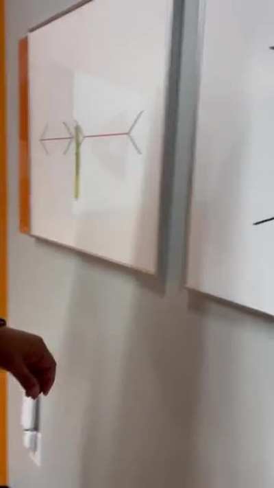 illusion of the size of the shape