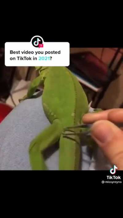 &ldquo;it&rsquo;s not ready yet&rdquo;