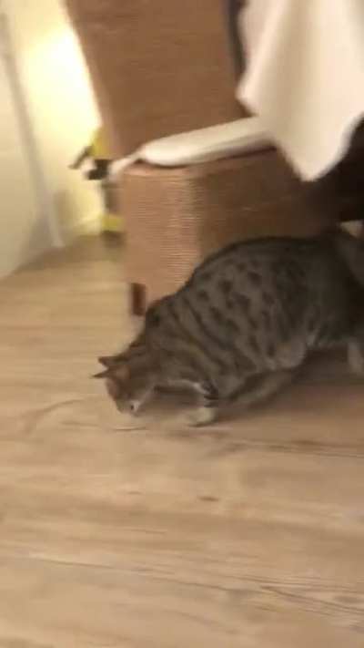 Sneak attack