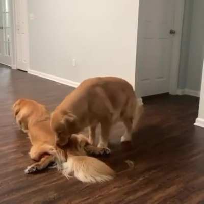 That's a good spot